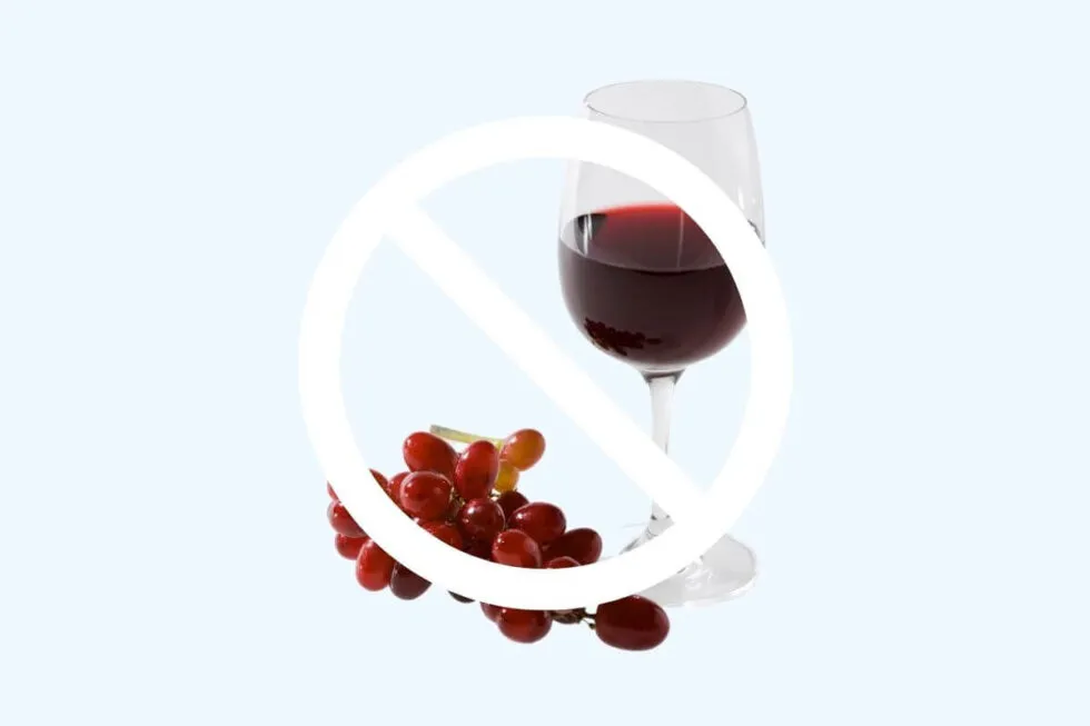 /img/26852-consult-dentist.webp