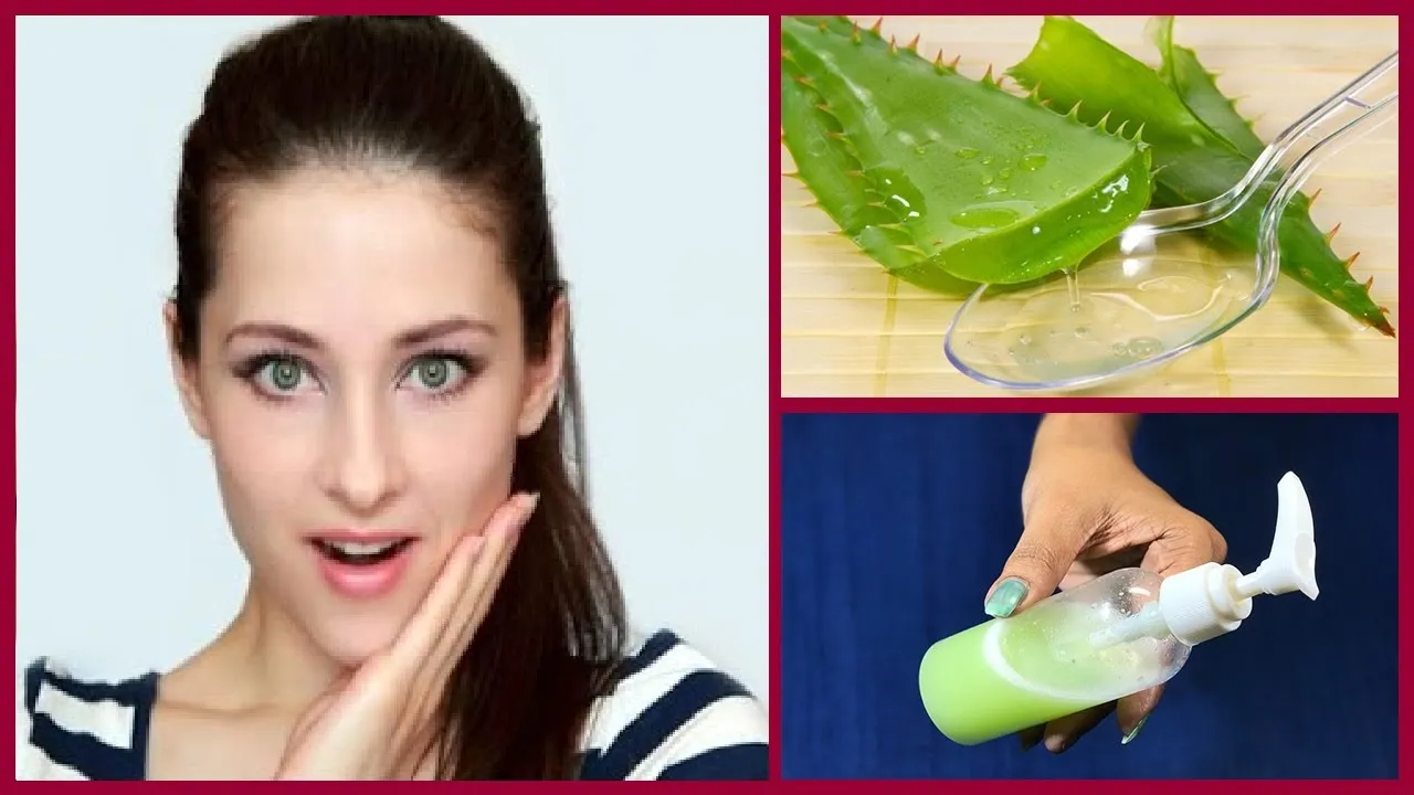 26887 aloe vera plant